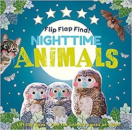 Flip Flap Find: Nighttime Animals!