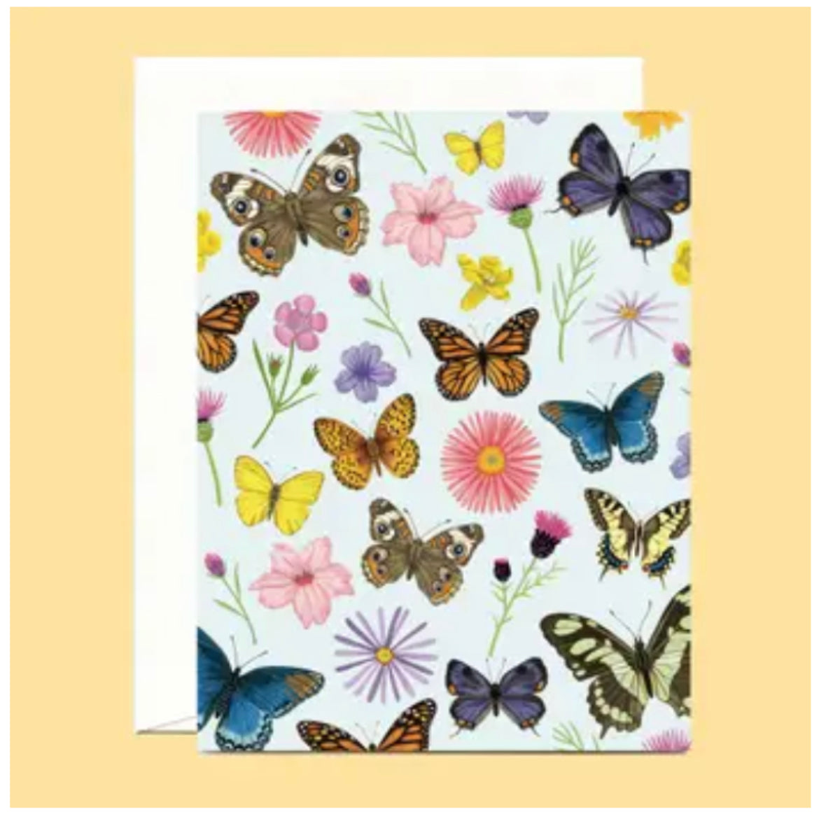 EveryDay Butterflies Stationary Cards